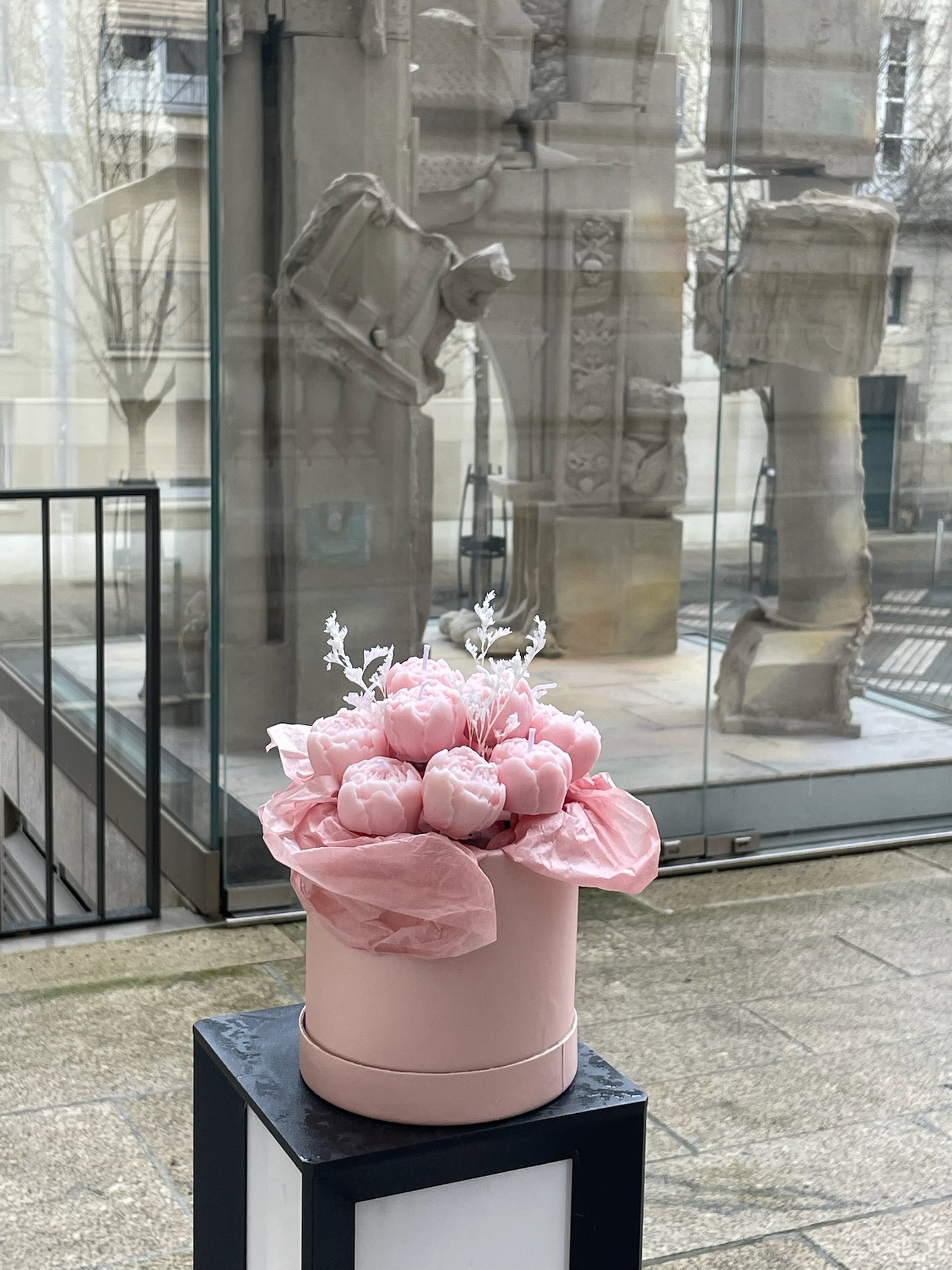 Box - Pivoines roses